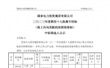 國(guó)家電投16GW海上風(fēng)電框采項(xiàng)目開(kāi)標(biāo)，8家整機(jī)商預(yù)中標(biāo)！