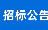 國華投資國華(陸河)新能源有限公司珠海高欄一場(chǎng)址50萬千瓦海上風(fēng)電項(xiàng)目前期技術(shù)咨詢及專題報(bào)告服務(wù)公開招標(biāo)