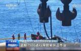 7500噸全回轉(zhuǎn)起重船“藍(lán)鯨號”助力“?；枴本珳?zhǔn)就位