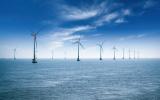 廣東省安排超40億元支持海洋生態(tài)保護修復(fù)、海上風電、等重點工作