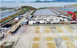 浙能臺州1號海上風電項目完成全部40臺風機預驗收！