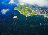 焦念志：海洋碳匯潛力巨大，雙碳目標(biāo)要兼具經(jīng)濟(jì)發(fā)展