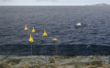 瑞典CorPower Ocean與挪威科技大學(xué)攜手推進AI控制的波浪能技術(shù)