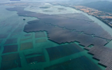 我國(guó)首個(gè)高風(fēng)速海域的海上光伏項(xiàng)目實(shí)現(xiàn)全容量并網(wǎng)