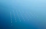 英國(guó)批準(zhǔn)愛(ài)爾蘭海1.5吉瓦M(jìn)organ海上風(fēng)電項(xiàng)目